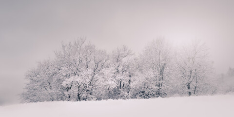 Neige Ardèche France