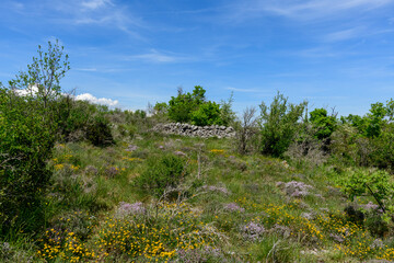 The hinterland of the Navacelles cirque in Europe, France, Occitanie, Herault, Saint Maurice Navacelles, in summer, on a sunny day.