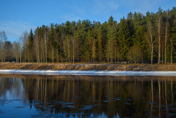 A calm winter river reflecting a dense forest of evergreen and bare trees under a clear blue sky, with patches of snow on the riverbank.