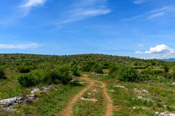 The hiking trail in the Navacelles cirque in Europe, France, Occitanie, Herault, Saint Maurice Navacelles, in summer, on a sunny day.