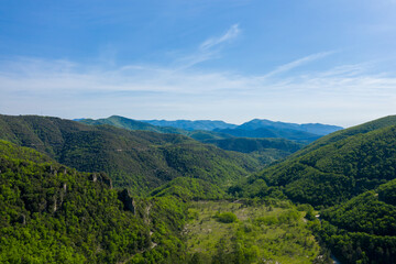 The Vis national forest in Europe, France, Occitanie, Herault, Saint Maurice Navacelles, in summer, on a sunny day.