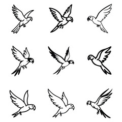 Exotic Parrot & Parakeet Icon Set. Colorful Tropical Bird Vector Collection.