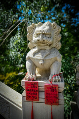 chinese lion statue