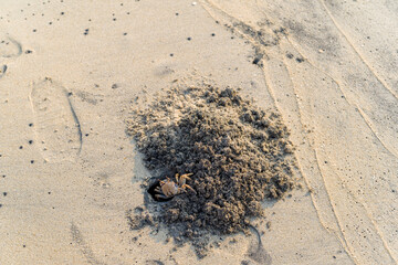 The sandy beach at Alappuzha in Asia, India, Kerala, Alleppey, in summer, on a sunny day.