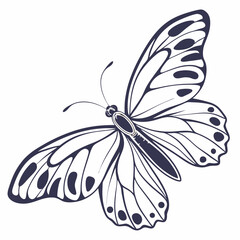 creative silhouette butterfly icon vector illustration
