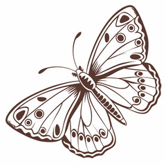 creative silhouette butterfly icon vector illustration
