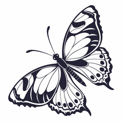 creative silhouette butterfly icon vector illustration
