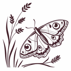 creative silhouette butterfly icon vector illustration
