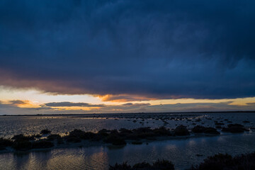 Sunset in the Camargue Regional Park in Europe, France, Provence Alpes Cote d Azur, Bouches du Rhone, Arles, in summer, on a sunny day.