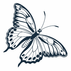 creative silhouette butterfly icon vector illustration
