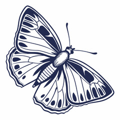 creative silhouette butterfly icon vector illustration
