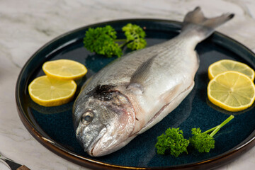sea bream fish with lemon slices