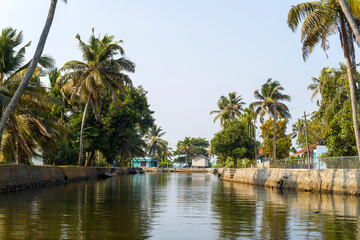 Obraz premium The backwaters at Alappuzha in Asia, India, Kerala, Alleppey, in summer, on a sunny day.