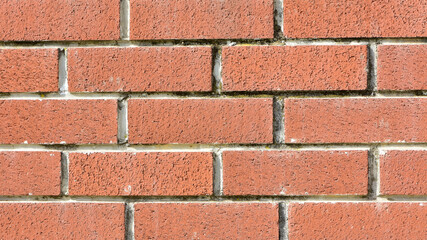 
stone wall photos for background.
