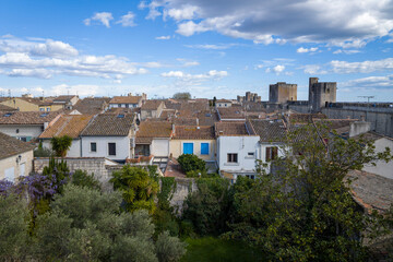 Obraz premium The houses of the city center in Aigues-Mortes in Europe, France, Occitanie, Gard, Aigues Mortes, in summer, on a sunny day.