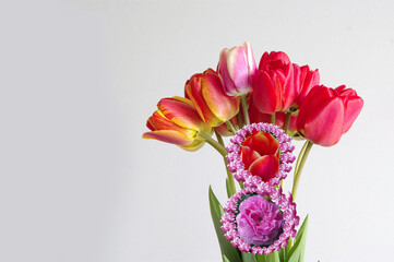 Bouquet of multicolored tulips with number 8 on white background. Postcard. Close-up with copy space.