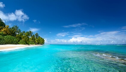 Fototapeta premium turquoise water in a tropical beach on a sunny day