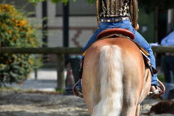 Haflinger horse performing in western classes riding competition with a young woman