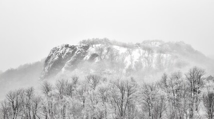 Winter landscape with snow covered trees and rock formation