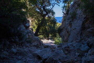The Su Porteddu hiking trail in Baunei in Europe, Italy, Sardinia, Baunei, in summer, on a sunny day.