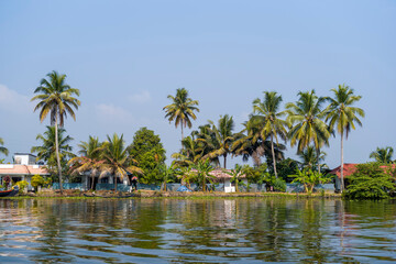 Fototapeta premium The banks of the backwaters in Alappuzha in Asia, India, Kerala, Alleppey, in summer, on a sunny day.