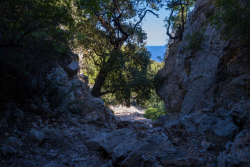 The Su Porteddu hiking trail in Baunei in Europe, Italy, Sardinia, Baunei, in summer, on a sunny day.