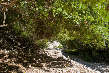 The Su Porteddu hiking trail in Baunei in Europe, Italy, Sardinia, Baunei, in summer, on a sunny day.