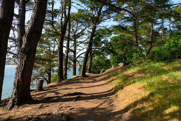 Fototapeta premium The coastal path on Berder Island in Larmor-Baden in Europe, France, Brittany, Morbihan, Larmor Baden, in summer, on a sunny day.