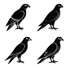 Stylized Falcon Silhouette Vector Icon Set Sharp & Professional Design.