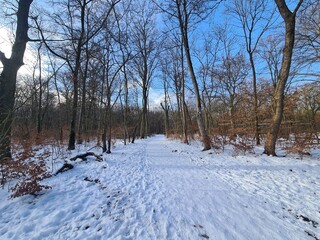 Winterzauber im Plänterwald in Berlin Treptow