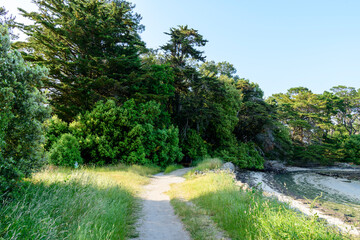 The coastal path on Berder Island in Larmor-Baden in Europe, France, Brittany, Morbihan, Larmor Baden, in summer, on a sunny day.