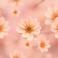 Blush Blooms: A Soft Floral Dream