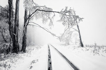 Winter road through a snowy landscape