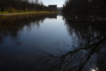 Tranquil Flooded Pathway with Reflections of Trees and a Wooden Building in the Distance