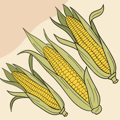 Grilled Corn on the Cob with Butter & Seasoning Vector Illustration