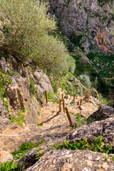 Hiking to Montejaque dam (Presa de Montejaque) and Hundidero cave (Cueva del Hundidero) in the province of Malaga, Andalusia, Spain