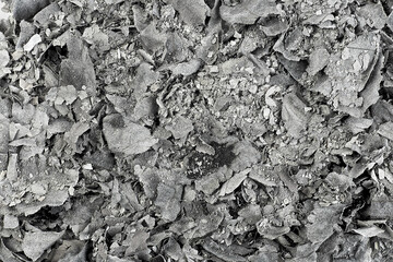 Paper ashes texture, as background. Cinder, view from above. Burnt old paper.