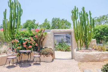 Empty Table and chairs inside desert House or hotel with bougainvillea flower and cactus,summer...