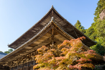 The Three Halls around the Engyoji Maniden in Himeji in Asia, Japan, Kansai, Himeji, in summer, on a sunny day.