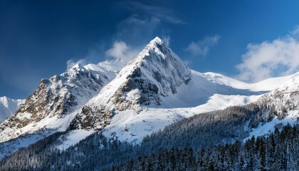 Fototapeta premium snow covered mountain peak in a winter landscape