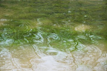 Grünes Seewasser mit Wellenmuster 
