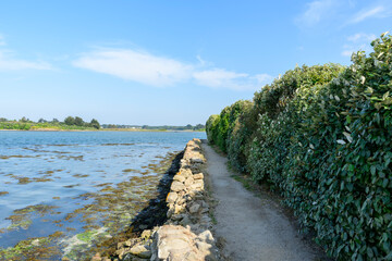 Fototapeta premium The path on the island of Saint-Cado in Etel in Europe, France, Brittany, Morbihan, Etel, in summer, on a sunny day.