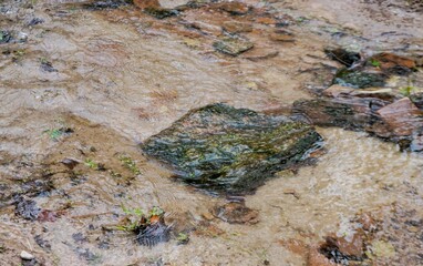 Gefrorenes Bachwasser mit großen Steinfelsen im Wald am Nachmittag im Winter