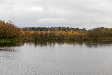 Fototapeta premium autumn landscape in cloudy weather with a lake and deciduous trees