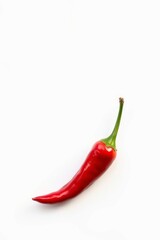 Single Red Chili Pepper on White Background