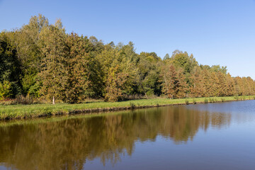 a lake with trees and various shrubs growing on the shore