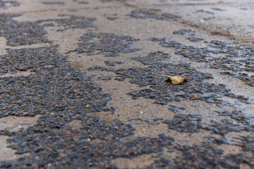 in the autumn season with trees and a concrete road, the asphalt layer of which is collapsing