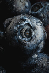 Macro of blueberry with water droplets