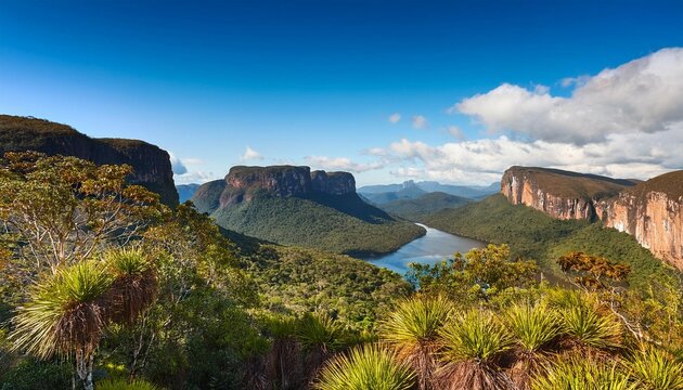 a stunning natural habitat in the national park of chapada dos veadeiros