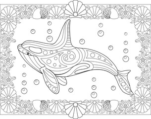 Antistress coloring book with killer whale and shells frame - vector linear picture for coloring. Outline. Coloring page with marine mammal animal orca.  © Hanna